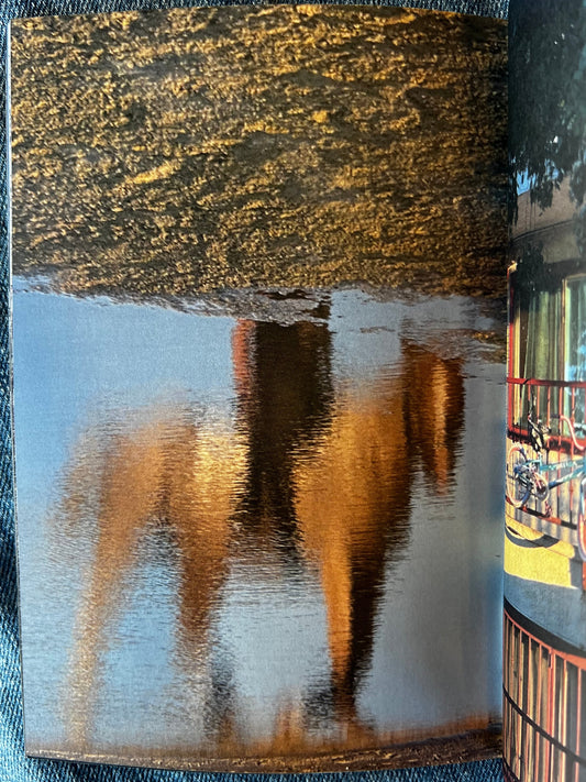 Ballpark by Inbar Levi