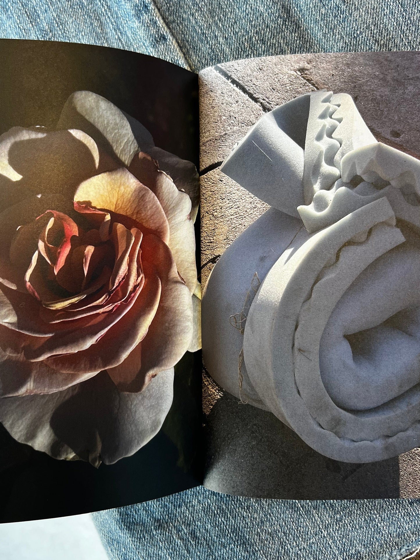 Ballpark by Inbar Levi