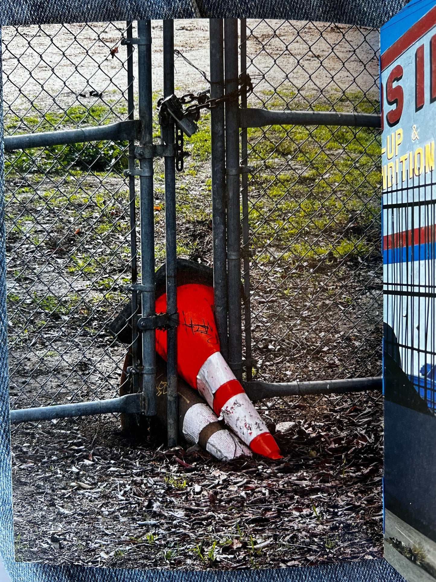 Put Me Back Where I Belong by Inbar Levi