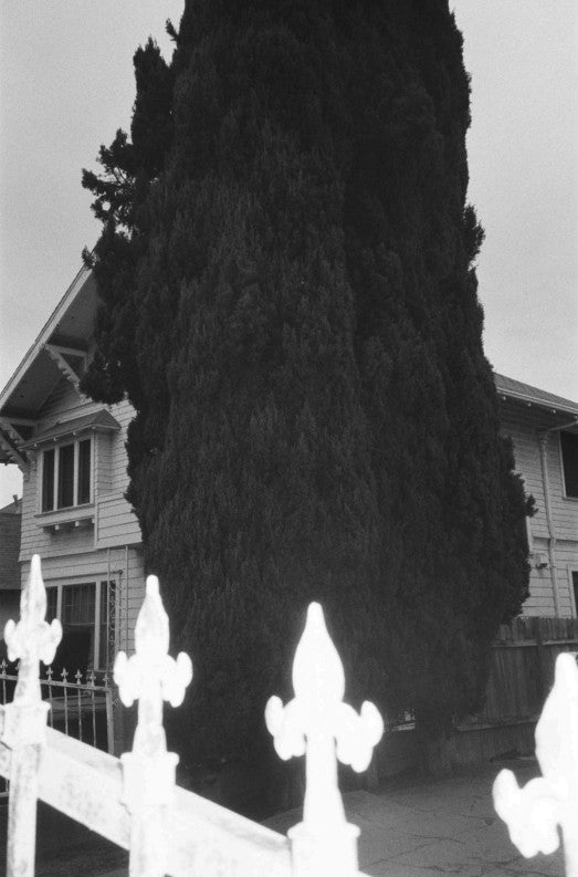 After Taste by Inbar Levi