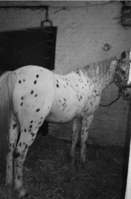 After Taste by Inbar Levi