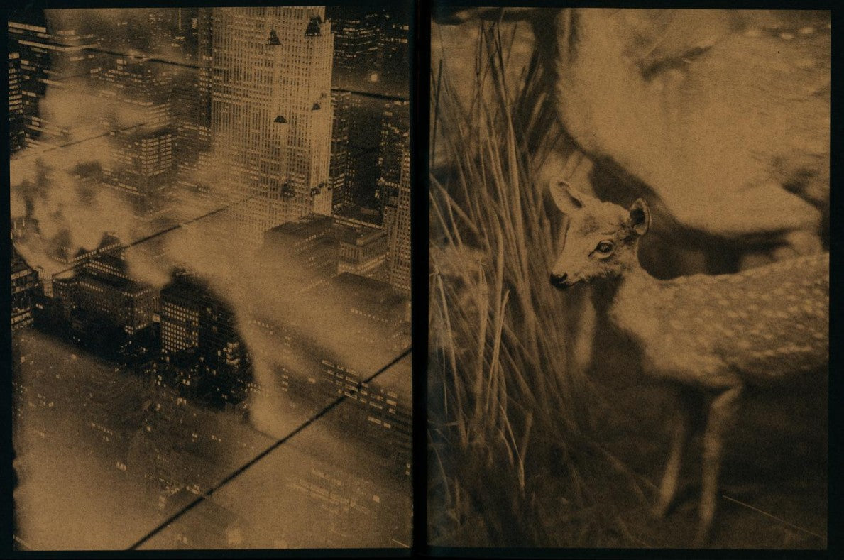 Twist Redux by Grade Solomon (Pomegranate Press)