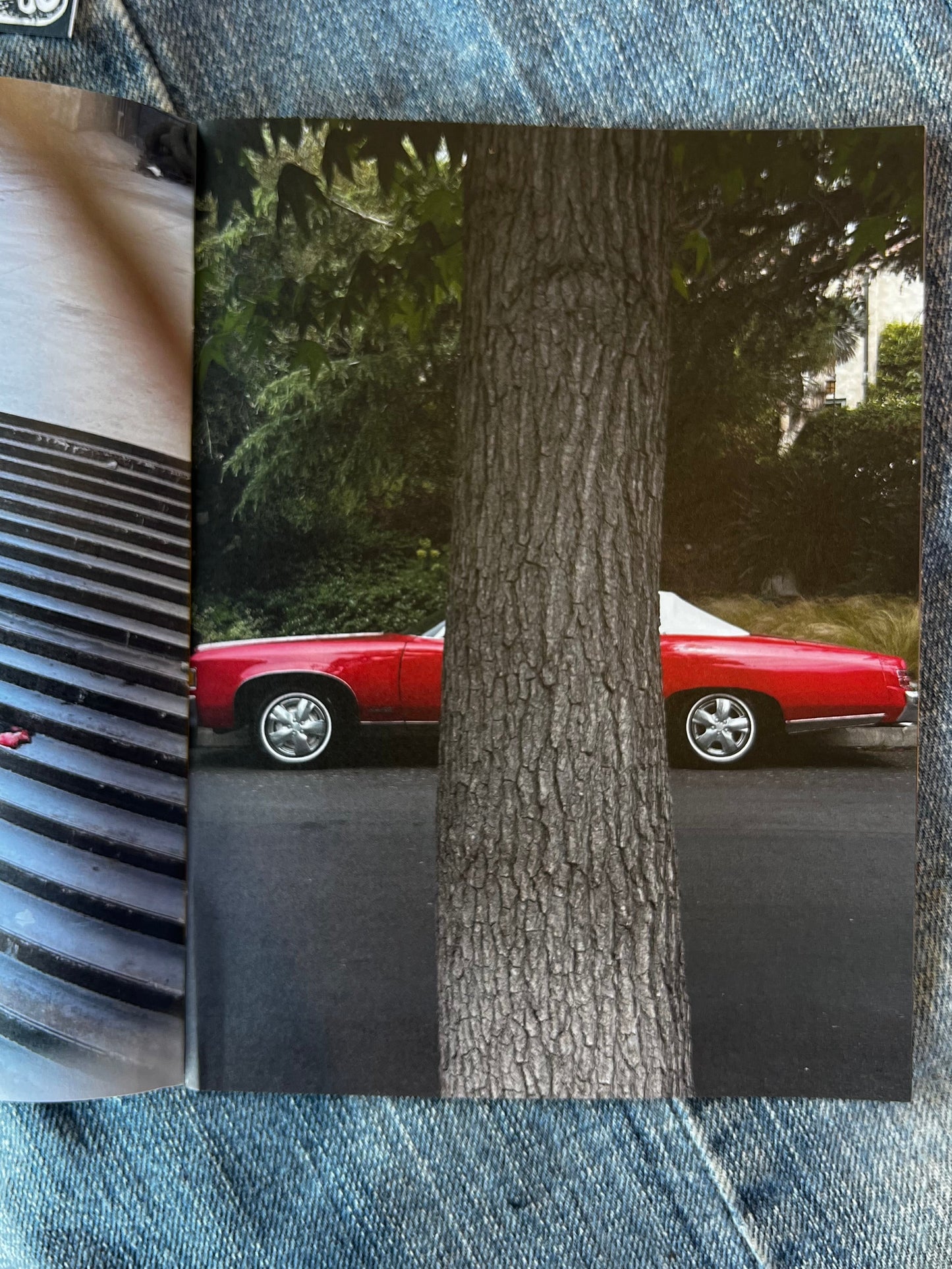 Time Like the Present by Inbar Levi