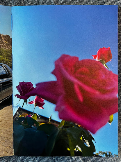 Put Me Back Where I Belong by Inbar Levi