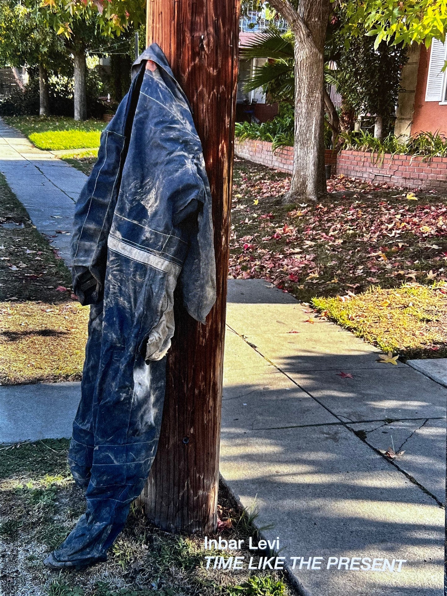 Time Like the Present by Inbar Levi