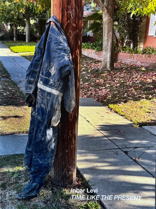 Time Like the Present by Inbar Levi