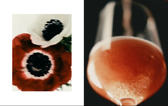 Daytime and Distant by Adam Friedlander (Pomegranate Press)