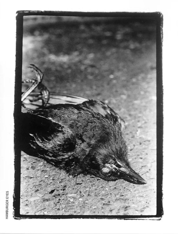 Hamburger Eyes- Issue #56