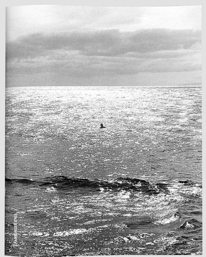 Hamburger Eyes- Issue #55