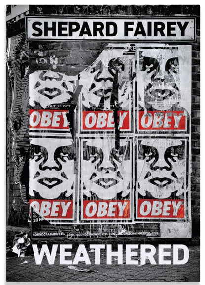 Weathered by Shepard Fairey (Beyond the Streets)