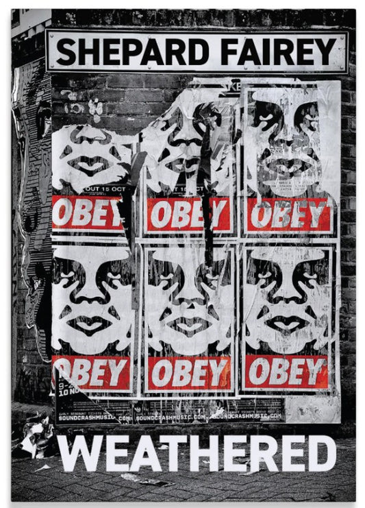 Weathered by Shepard Fairey (Beyond the Streets)